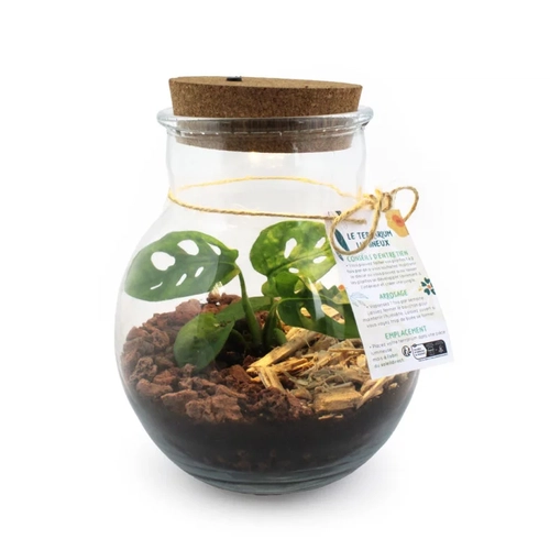 image du produit Terrarium lumineux à LED