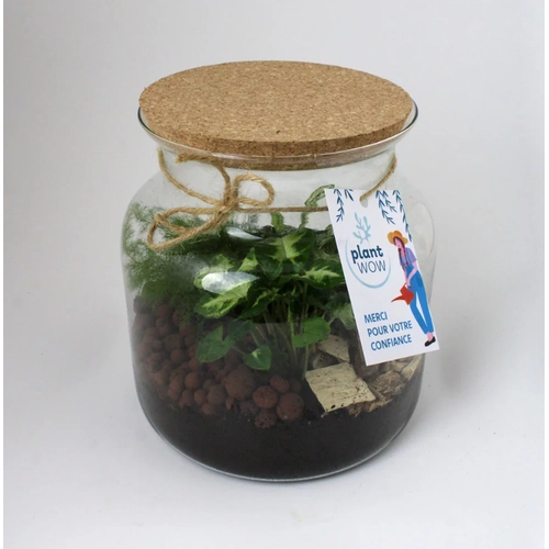image du produit Terrarium relaxant